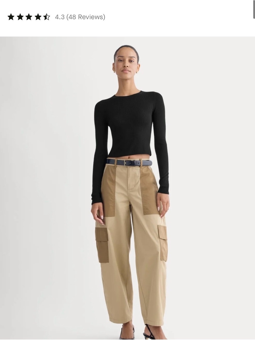 Everlane Utility Cargo Pant